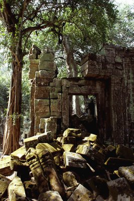 Ta Prohm