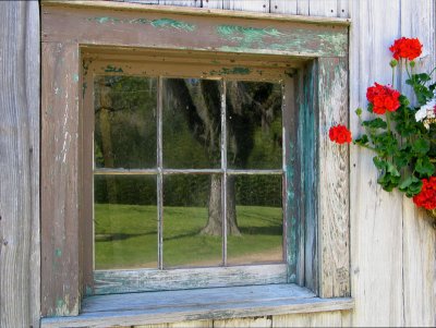 Reflections in a Barn Window