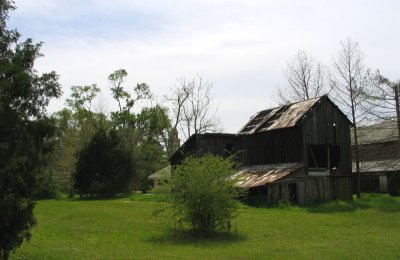 The Old Barns