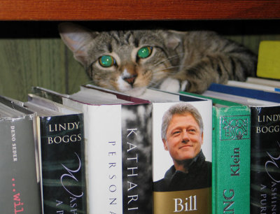 The Cat Who Reads