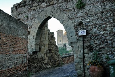 DSC_8244.jpg