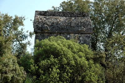kyaenai-phellos yolunda