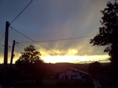 evening in August