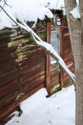 Wall of an outhouse