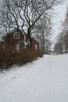Mnttikuja