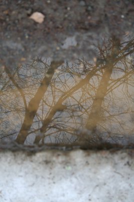 Reflection