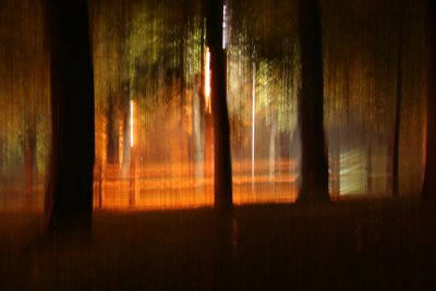 Blurred park