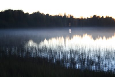 A foggy evening