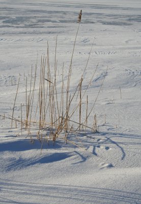 IMG_8045.JPG