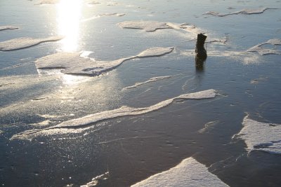 IMG_8149.JPG