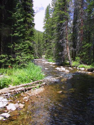 Edelman Creek