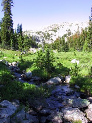 Edelman Creek