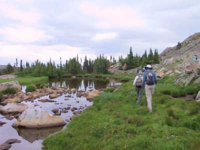 Searching for Barb's Lake Golden