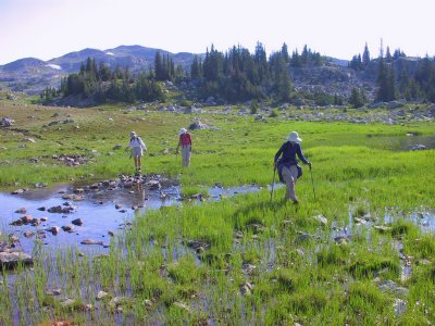 Wet Meadows