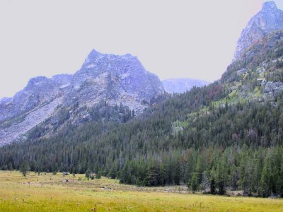 Porcupine Creek Meadow