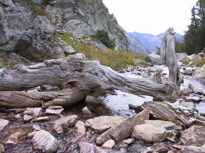 Water, Rock, and Wood
