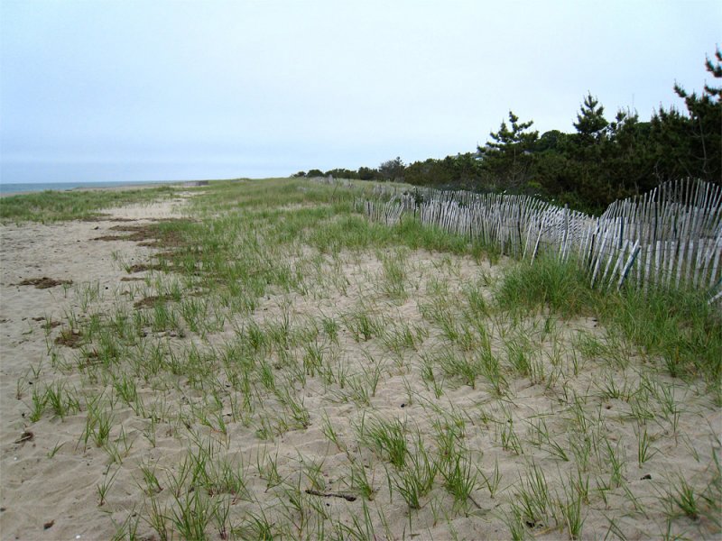 Nantucket - Beach