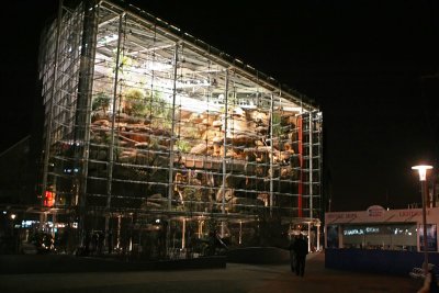 Glass Greenhouse