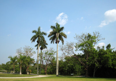 Everglades - Royal Palm Entrance