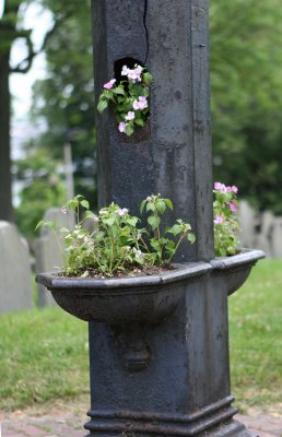 Boston - Burying Ground
