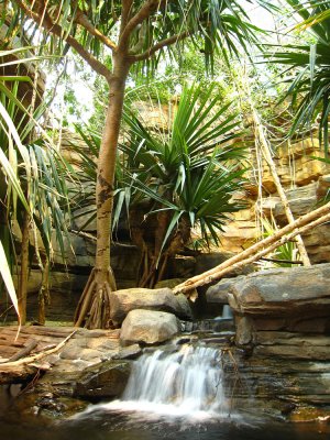 Baltimore Aquarium - Rainforest