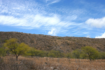 Diamond Head - Landscape View