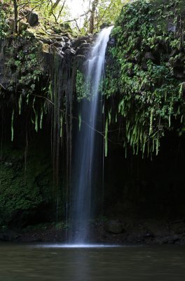 Road to Hana - Twin Waterfall