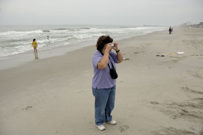 _DSC3137myrtle.jpg