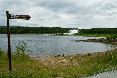 Storforsen 2.jpg