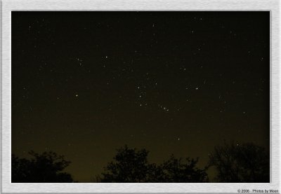 November 14th, 2006 - Orion Rising Over The Trees 6264
