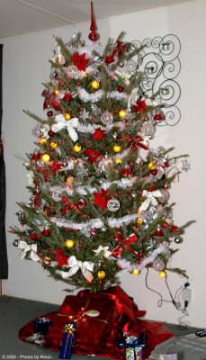 December 17th, 2006 - X-Mas Tree 7778