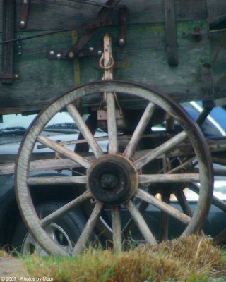 March 14th, 2007 - Wagon Wheel 13207
