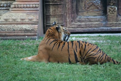 Miami Metrozoo
