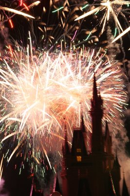 Magic Kingdom