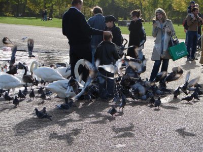 hyde park 29-10-06