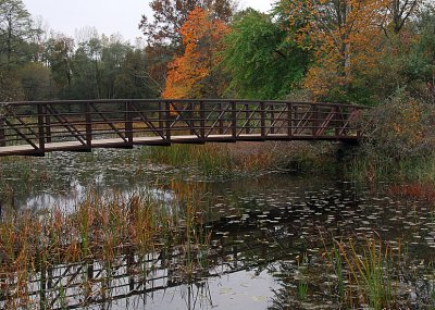 Bridge Over The Marsh