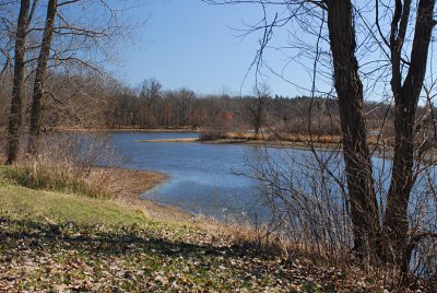 A Chilly Spring Day At The Park