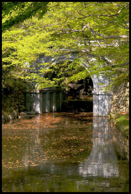 Bridge