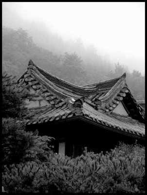 Misty mountain