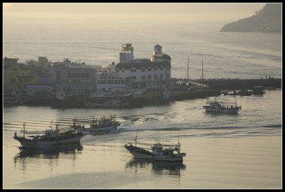 IMG_1116.jpg