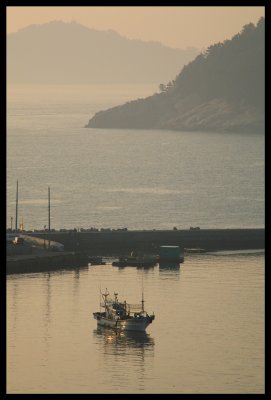 Morning Calm