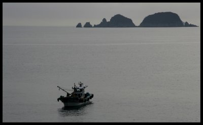 Fishing 2