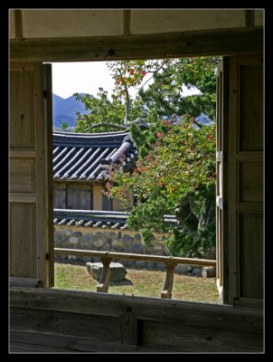 IMG_0964