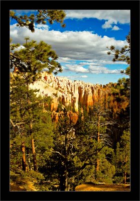 Morning-light---Bryce-Canyon.jpg