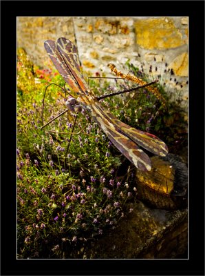 Giant-dragonfly