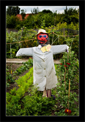 Megan-the-scarecrow