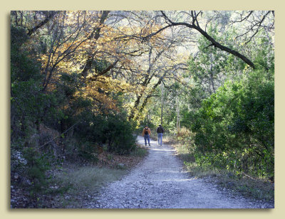 Trail