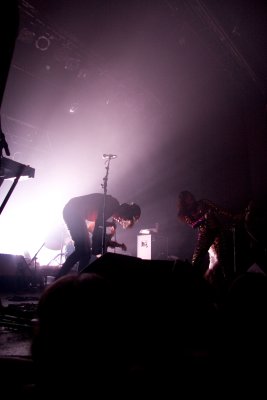 CSS @ La Tulipe