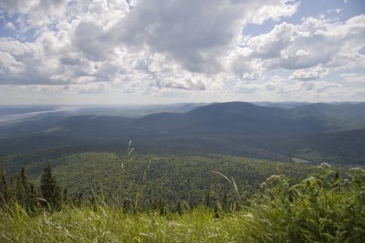 _MG_0037.jpg