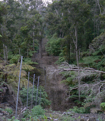 Fenceline road, Kona Hema